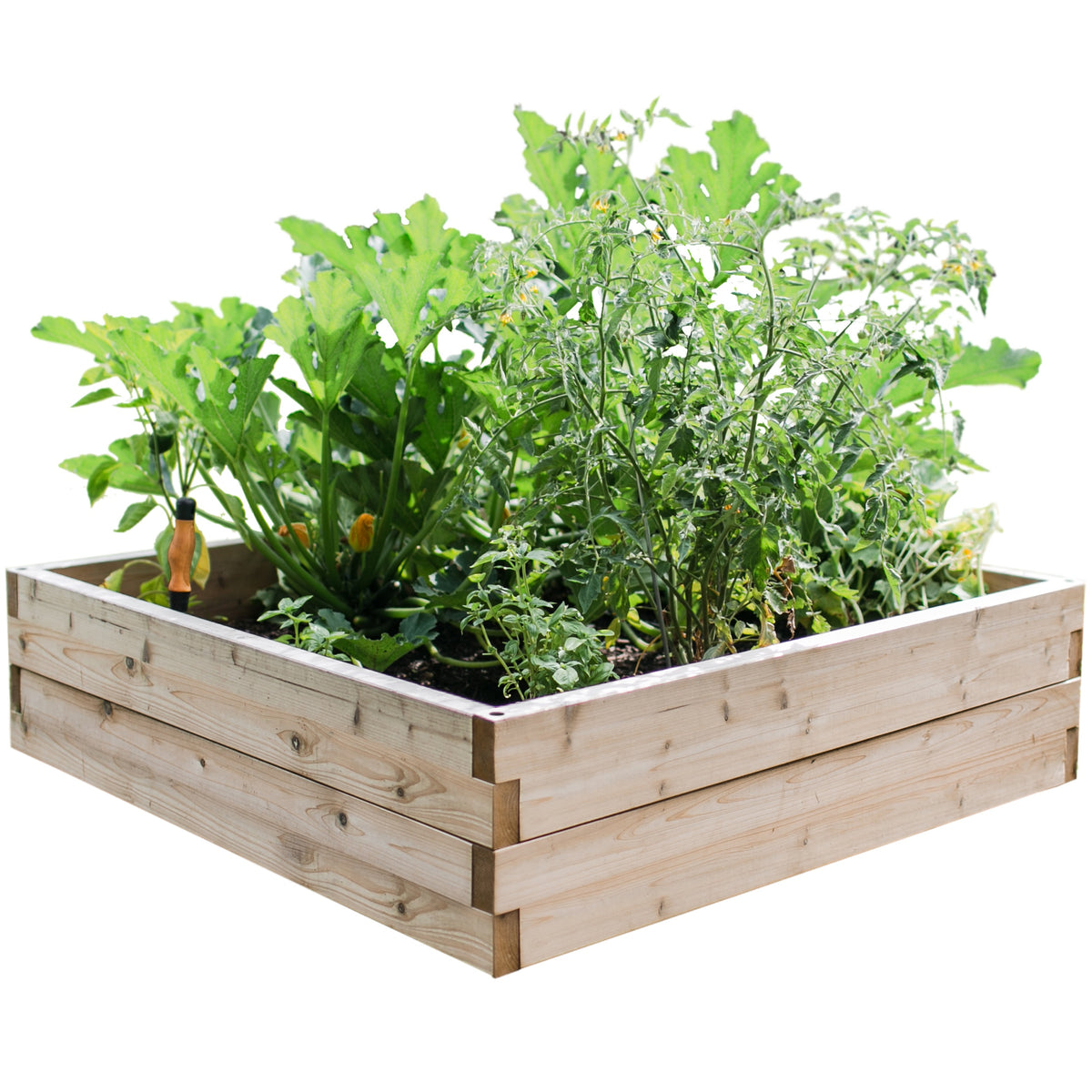 4x4 Cedar Raised Garden Bed